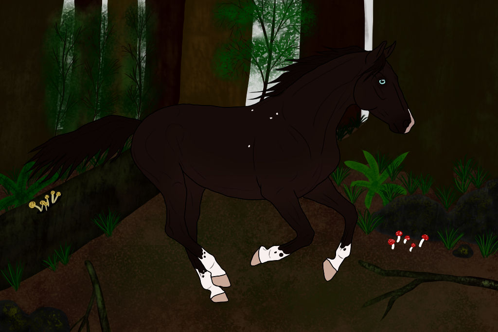 Through The Woods by Karly14 on DeviantArt