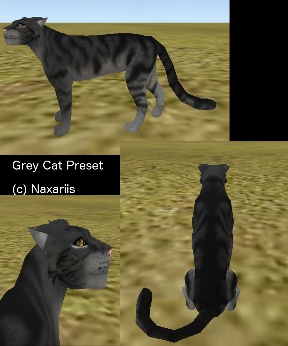 Grey Cat Preset FREE