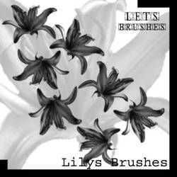 Lilys Brushes