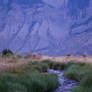 A small stream at dusk