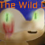 The Wild One: Cover
