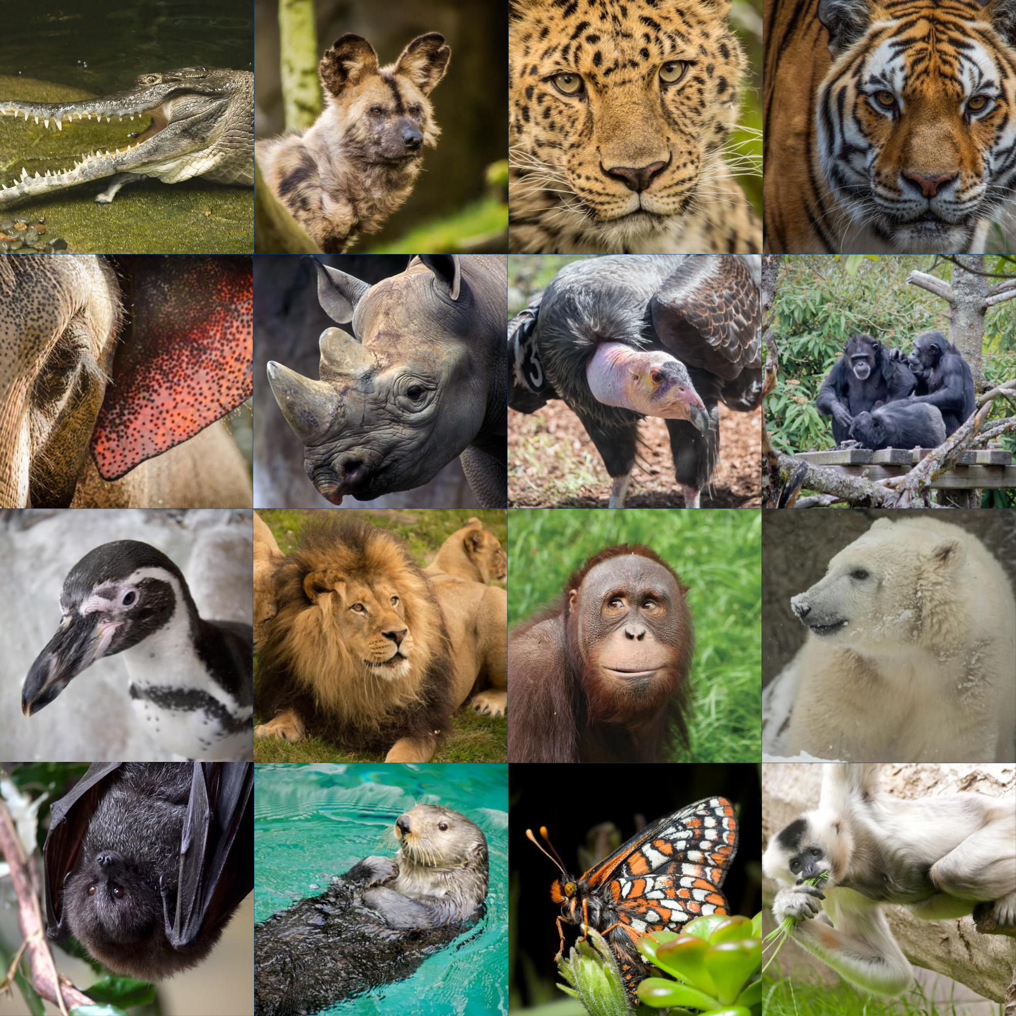 Endangered Species Day 2018 by AustinSPTD1996 on DeviantArt