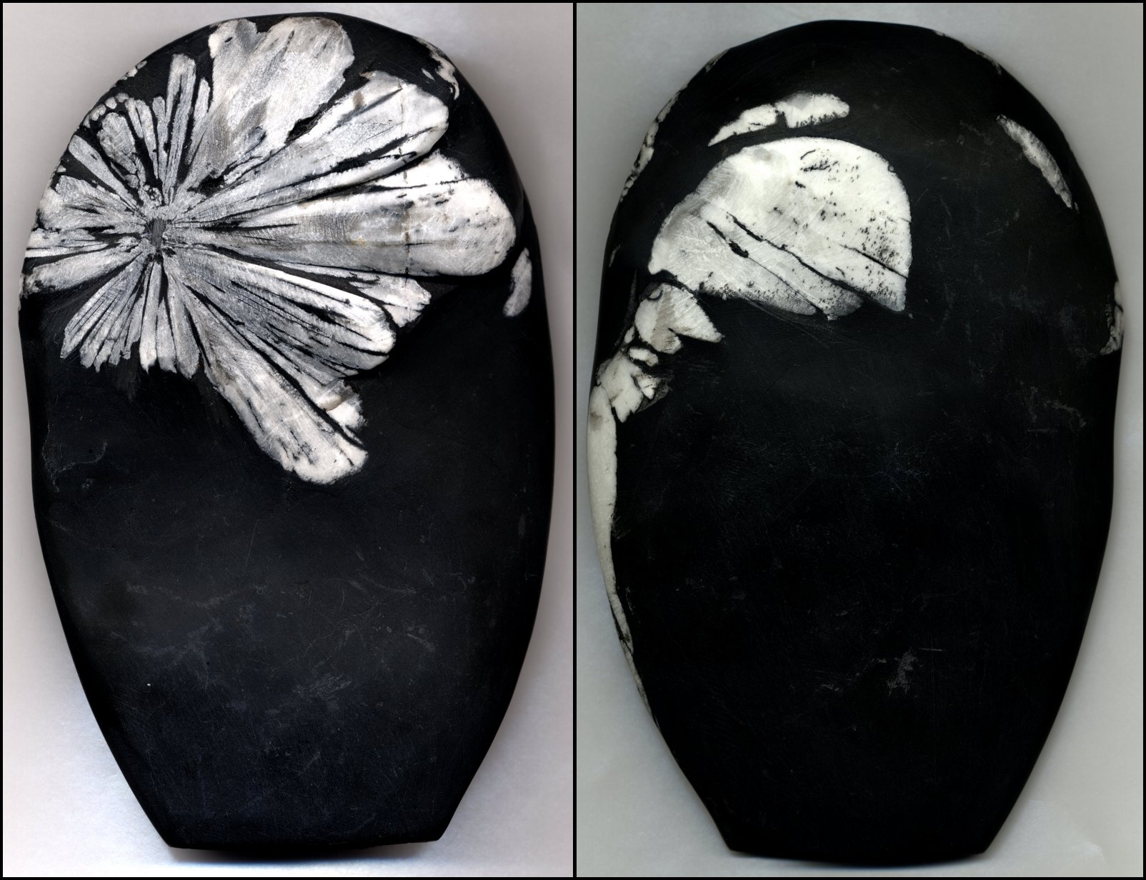Chrysanthemum stone by Talec