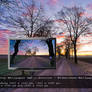 Sunrise - Gravel Road with old Maple Trees