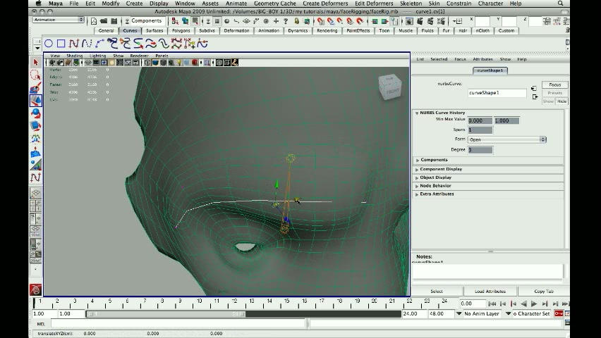 Maya Face Rigging Tutorial By Haagndaaz On Deviantart