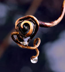 Curly-Q and Droplet
