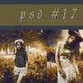 PSD #17