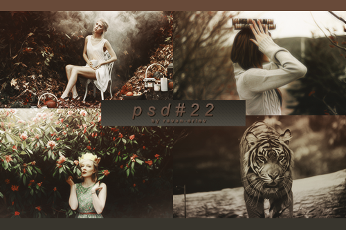 PSD #22 by RavenOrlov on DeviantArt