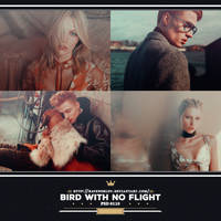 PSD #110 - Bird With No Flight