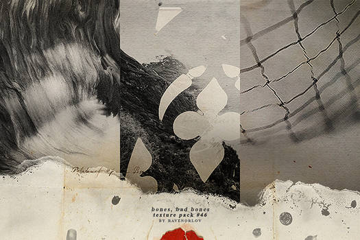 Texture Pack #46 - Bones, Bad Bones by RavenOrlov, visual art