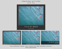 Framing actions - 1 - Text