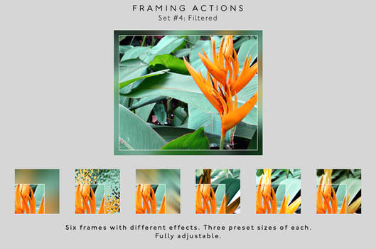 Framing actions - 4 - Filtered