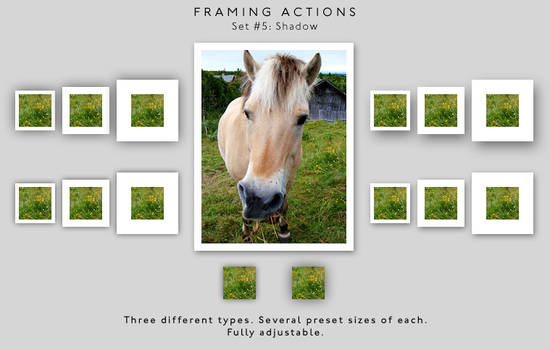 Framing actions - 5 - Shadow