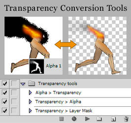 Transparency Conversion Action