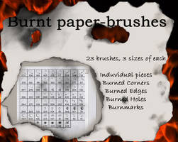 Burnt paper-brushes