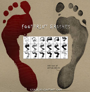 Footprint brushes