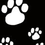 Paw Prints