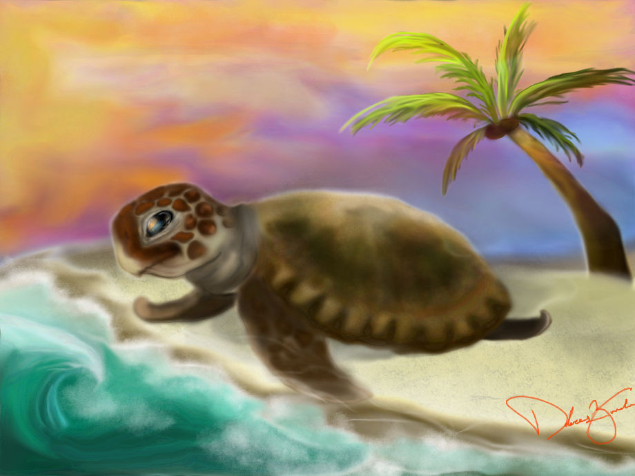 Sea Turtle by Lolita229 on DeviantArt