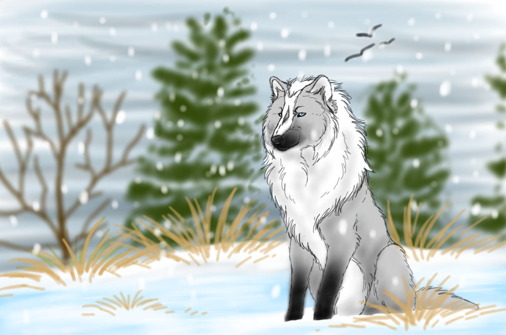 Watching by SunkmanituThanka7 on DeviantArt