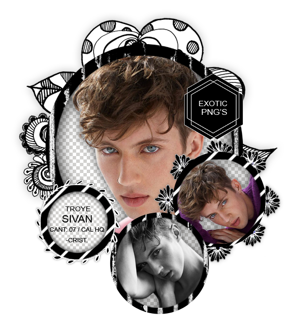 Pack Png 1488 // Troye Sivan by ExoticPngs on DeviantArt