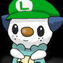 Oshawott in Luigi Cap