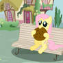 Fluttershy eat cookie