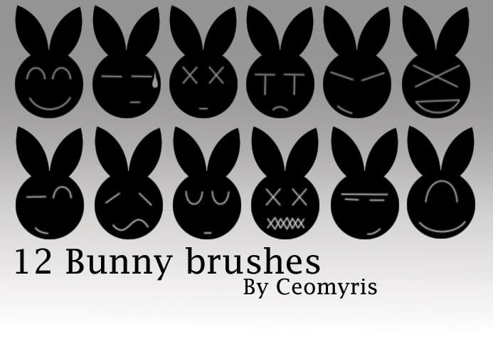 12 Bunny Brushes