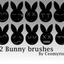 12 Bunny Brushes