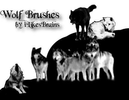 Wolf Brushes