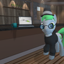 Linux Mint pony