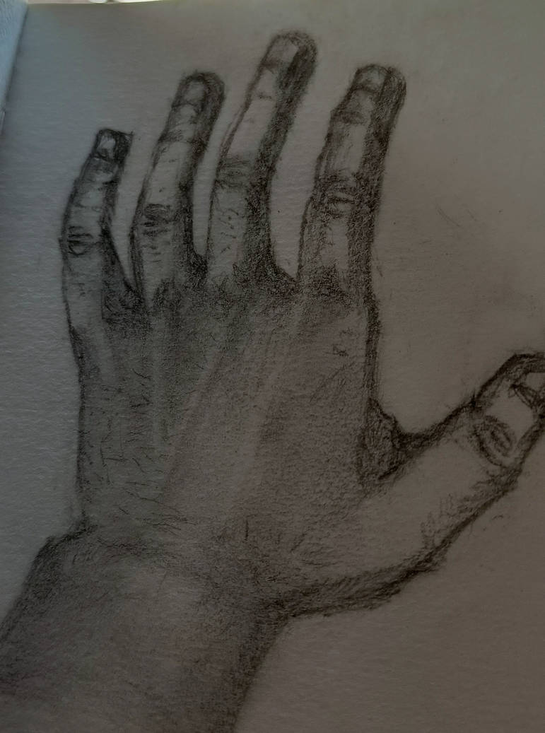 Drew my own hand