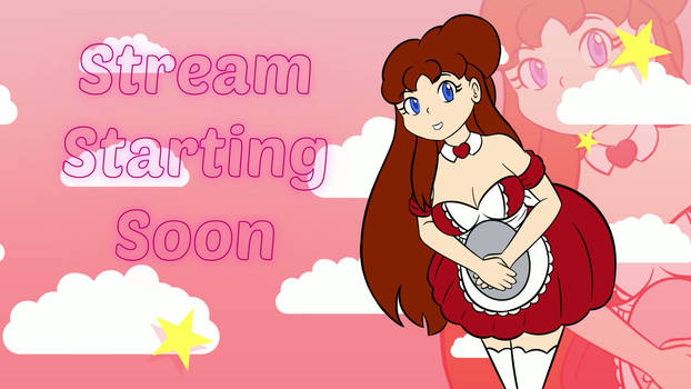 Stream Starting Video