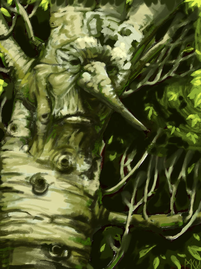 treefolk 3 by deWitteillustration on DeviantArt