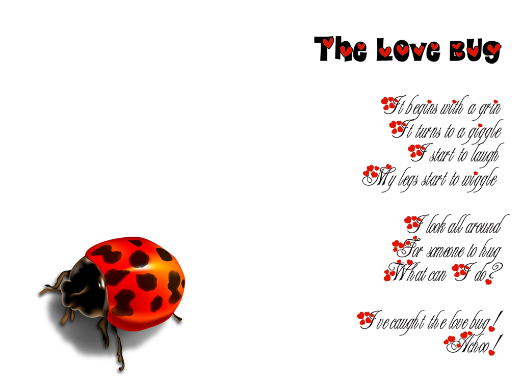 ..::LoveBug::..