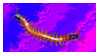 centipede stamp