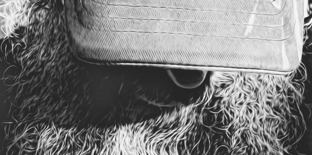 Beard Art Edit by jackthetab on DeviantArt