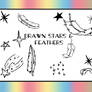 Drawn Stars And Feathers Brush