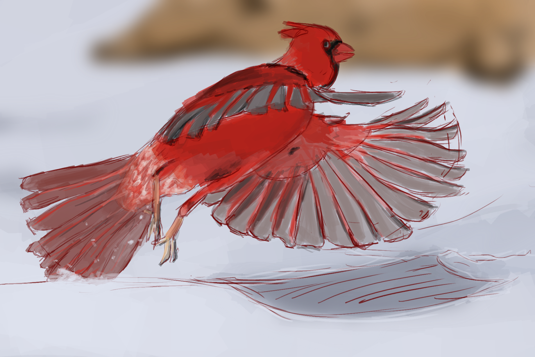 Red Bird