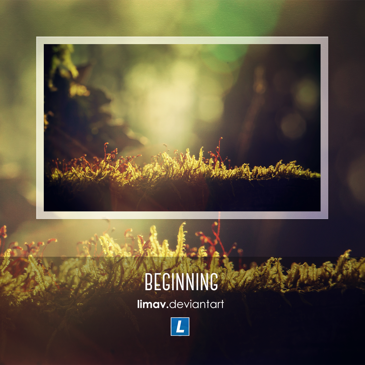 Beginning - Wallpaper by limav on DeviantArt