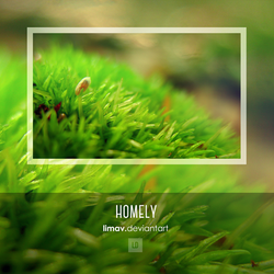 Homely - Wallpaper