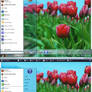 Windows 8 Aero Transparent for Vista