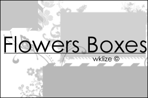 Flowers Boxes