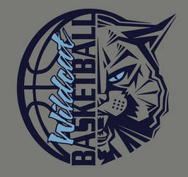 Wildcats Basketball