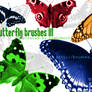 Butterfly Brushes III