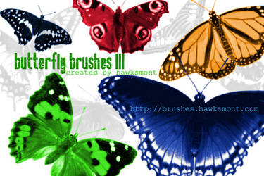 Butterfly Brushes III