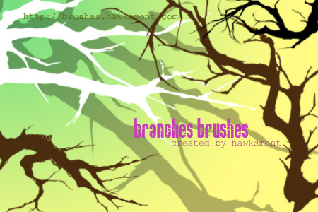 Branches