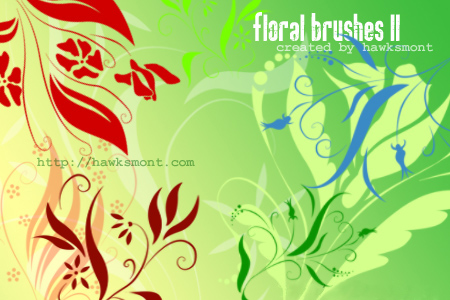 Floral brushes II by hawksmont
