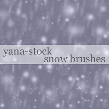 Snow Brushes