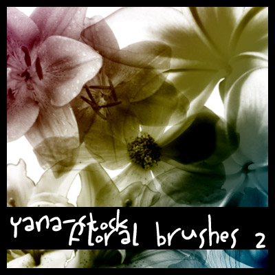 Floral Brushes 2