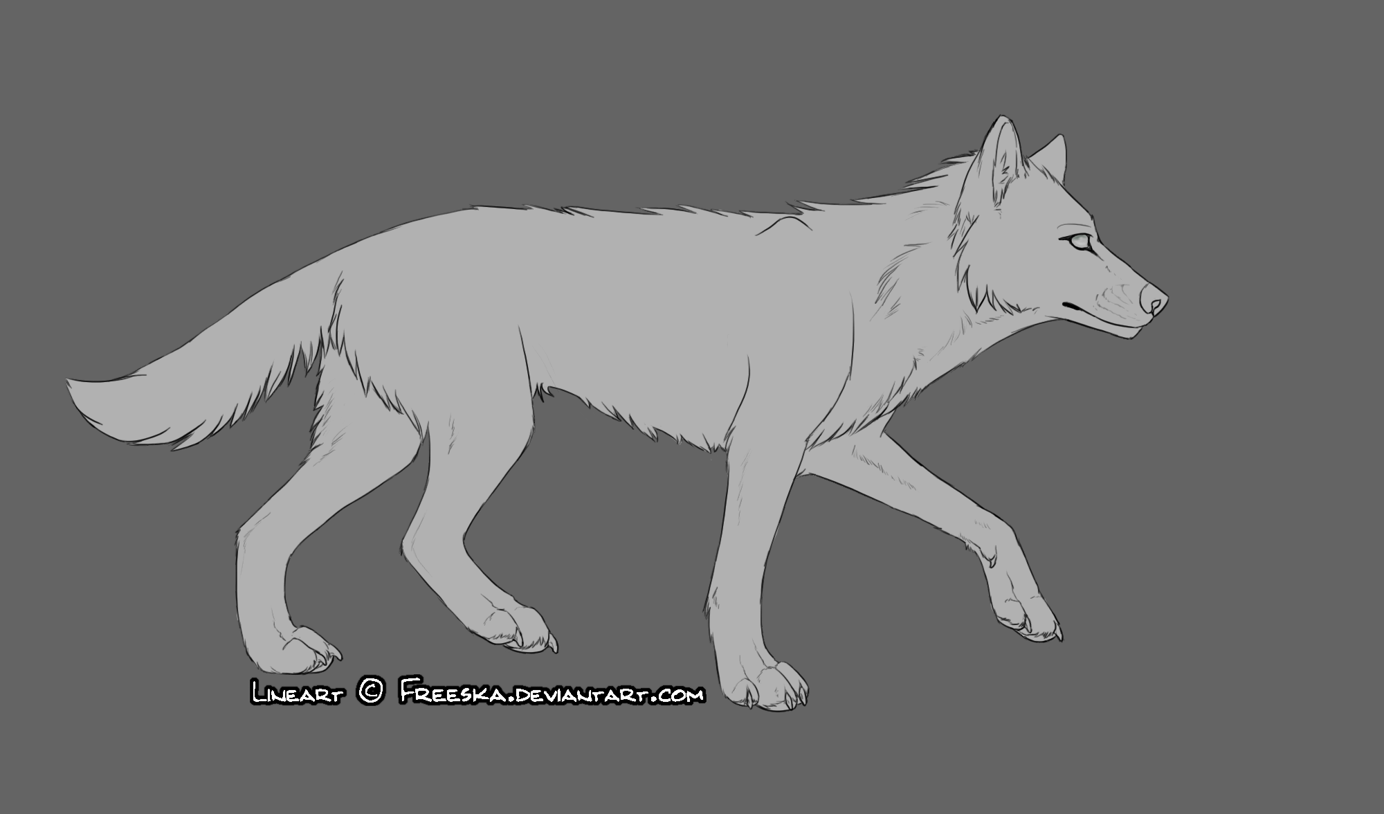 Wolf Lineart